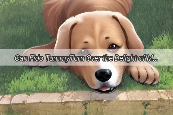 Can Fido TummyTurn Over the Delight of Mashed Potatoes